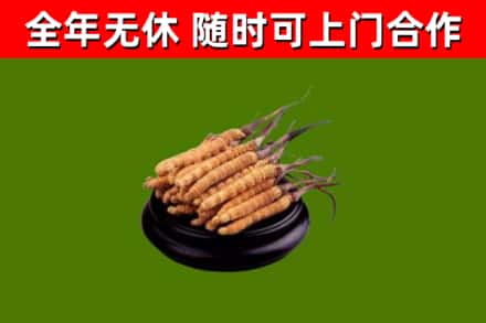 秦都烟酒回收冬虫夏草.jpg